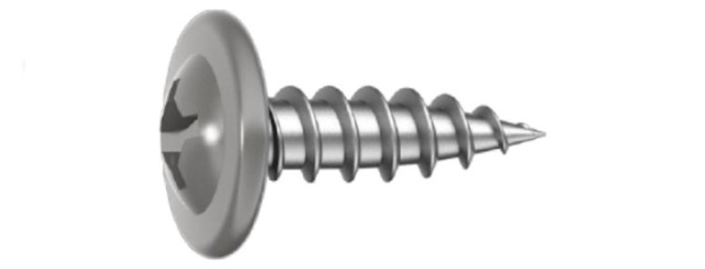 8905026_01.jpg