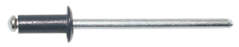 8130286_01.jpg