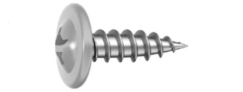 8905239_01.jpg