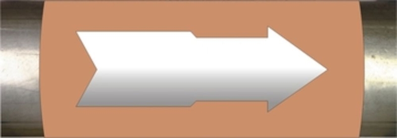 9555466_01.jpg