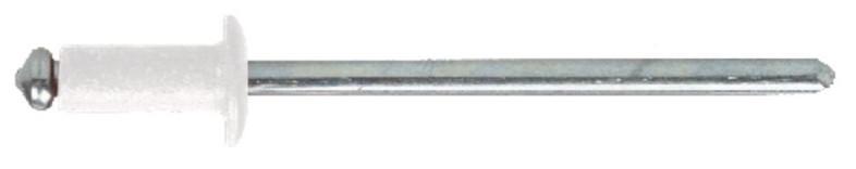 8130541_01.jpg